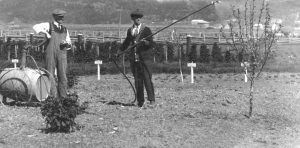 Two men are treating a fruit tree with a pesticide sprayer