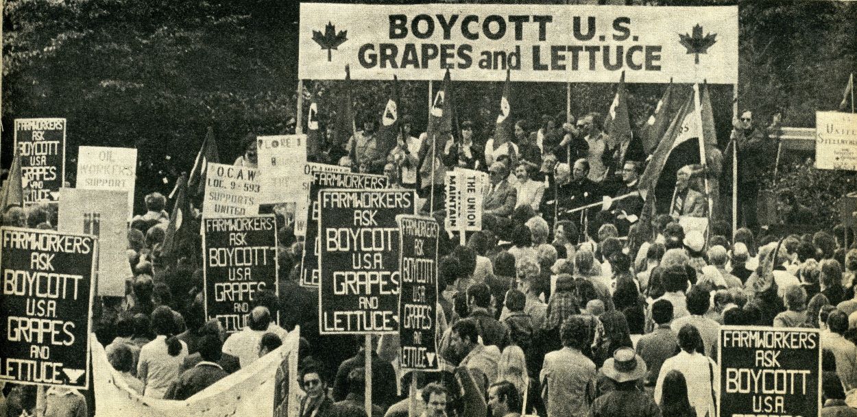 A crowd of people at a farmworkers rally, many of them holding signs called for a boycott of U.S. grapes and lettuce.