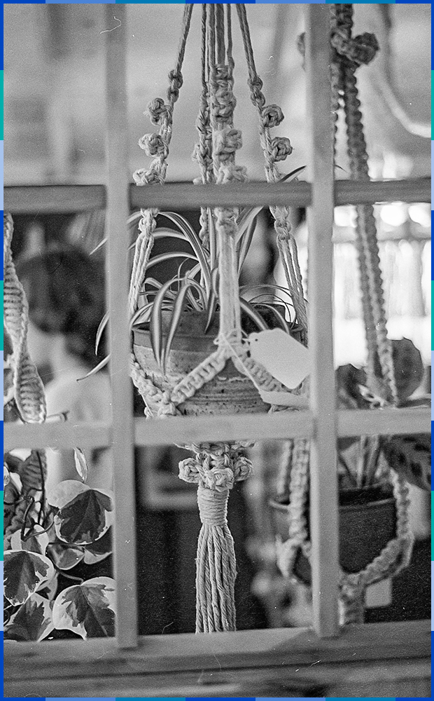 The black and white photograph has been taken through a wooden lattice. On the other side of the lattice, hanging from the ceiling are three macramé plant hangers.