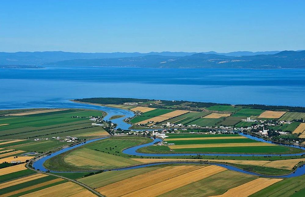 Aerial view of a river through fields