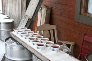 Small white cups containing maple taffy on packed snow and a metal container filled with snow. Background: wooden building and wooden chair.