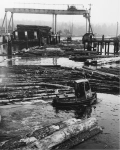 A dozer boat manages logs in the Ladysmith Harbour booming grounds. The overhead crane in the background is loading load logs onto a barge for shipment to sawmills located on the B.C. Mainland, 1983.