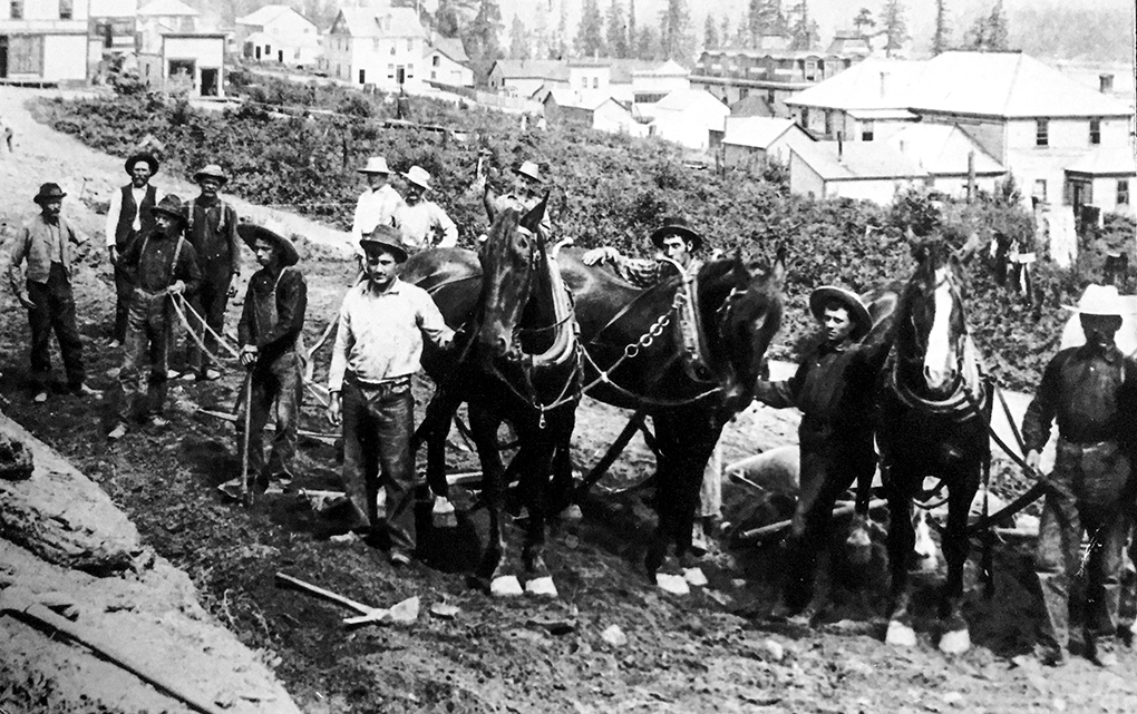 Black and white photograph featuring a group of 12 men, two of which are Asian, the rest Caucasian, and three horses in harness standing on a partially graded dirt roadway.