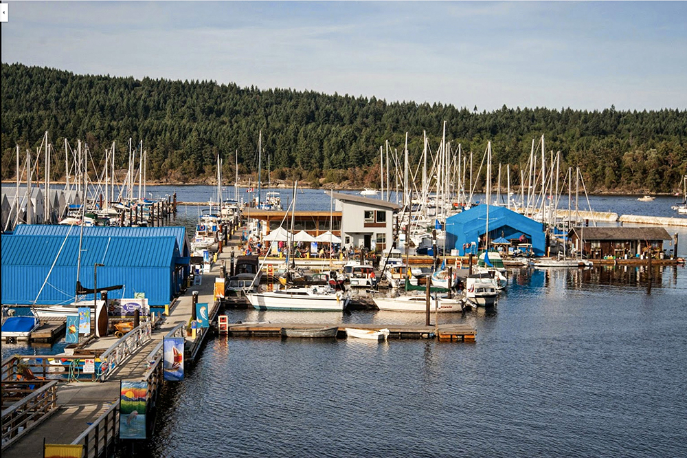Colour photograph of numerous pleasure craft, motor and sail powered, moored at a floating dock complex.