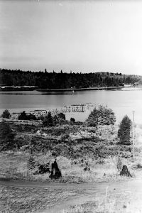 Black and white photograph in the foreground of which is an unkempt scrub vegetated shoreline bordering a water body into which stretch the pilings of an abandoned wharf. Wooded islands and hills form the opposite shoreline.