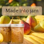 Fresh pears and pear compote in jars