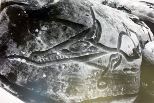 Black and white photograph of a sandstone boulder carved with the stylised two dimensional sideways-outline of a mythical creature with triangular head consisting of a long snout, prominent teeth, large eye and pointed ear connected to a circular body from which protrudes a stylised front leg and an erect pointed tail at the back.