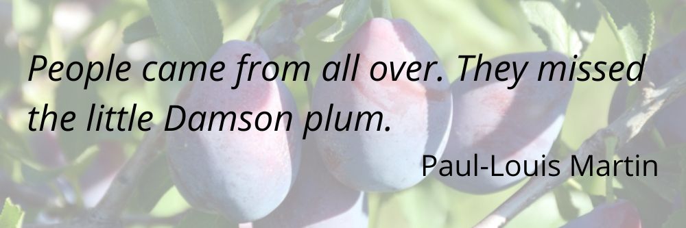 People came from all over. They missed the little Damson plum. Paul-Louis Martin