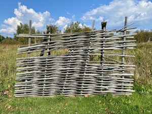 Colour photograph (2024): reconstruction of a fish weir. Structure of horizontally interwoven wooden branches (thick vertical stakes). Outdoor environment: (green grass in foreground, trees, blue sky with white clouds in the background.