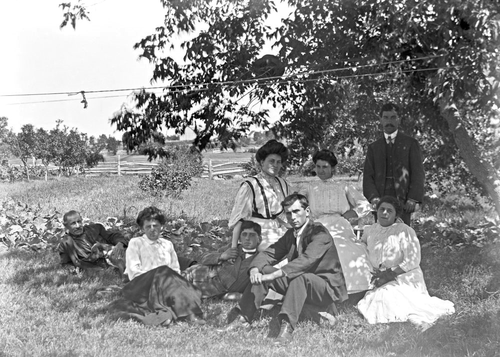 Old photo of a field bordered by apple trees and eight people seated on the ground