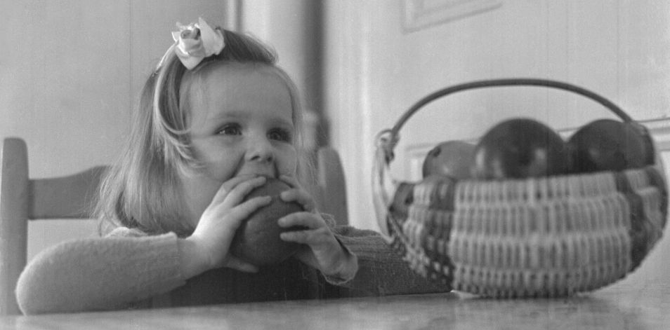 Little girl at a table biting into an apple, c.1945