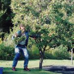 A man shakes the trunk of a plum tree, and plums fall to the ground.