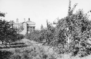 An orchard in front of an old four-storey building with a little steeple