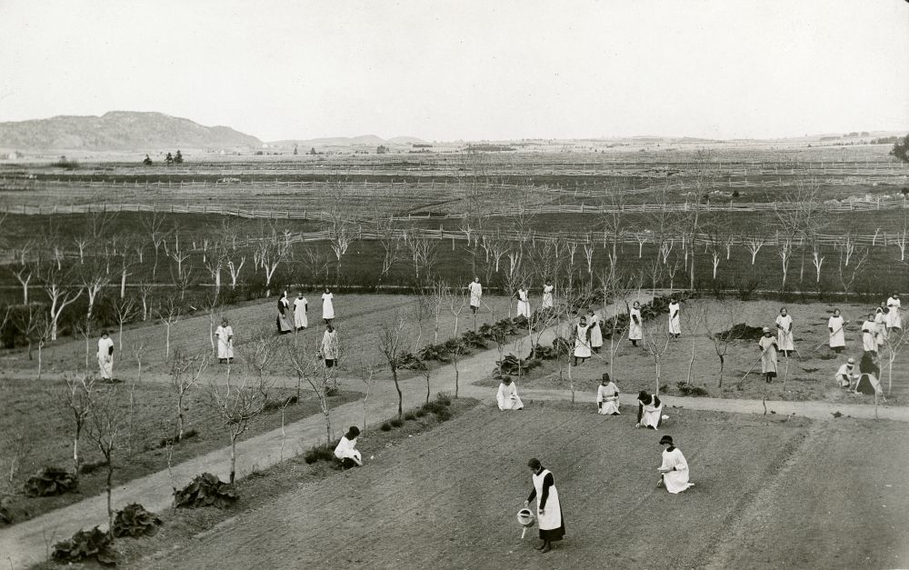 Vast gardens of a religious community where young girls in aprons work.