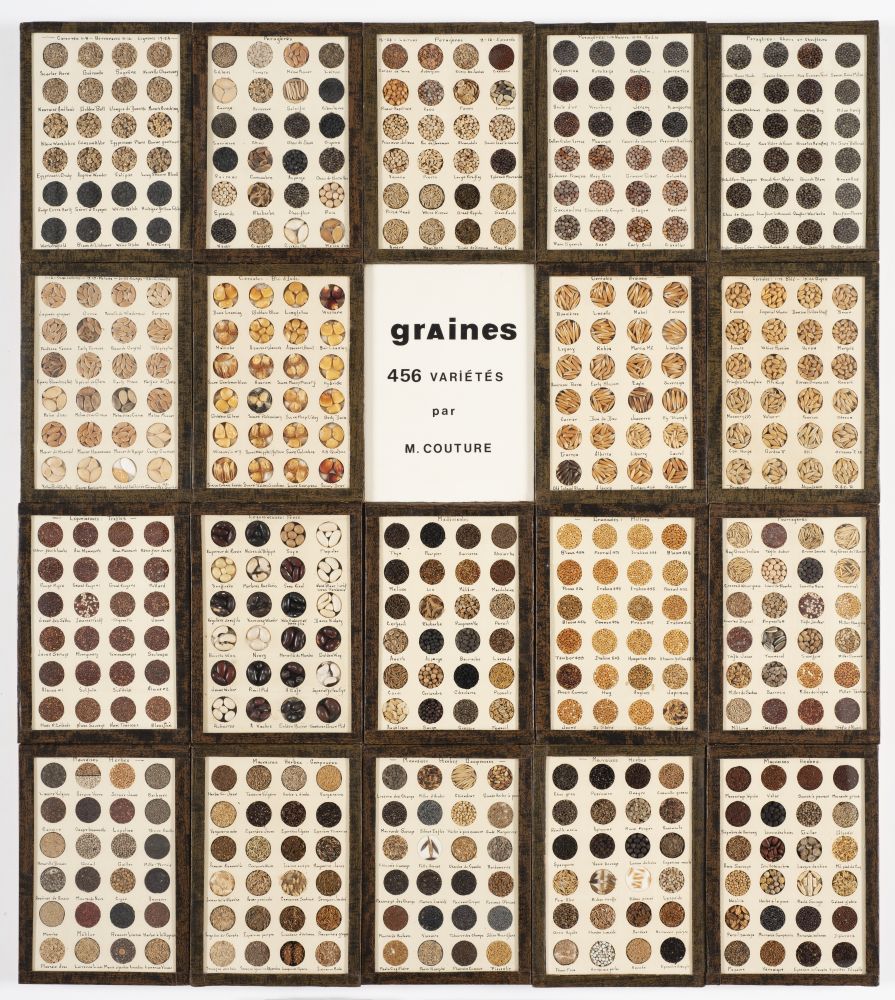 Summary table of 456 seed varieties (Maurice Couture, 1930s). Study board made of 20 framed rectangular sections and multiple circular seed capsules. Visual botanical study board for seeds, diversity of cultivated and studied species.