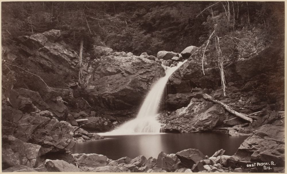 Albumen print (before 1865, Alexander Henderson): On the river, Saint-Pascal, Lower Saint Lawrence, QC. Waterfall rushing over mossy rocks towards a peaceful basin. Lush wild nature (steep rocks, dense vegetation, trees with delicate branches).