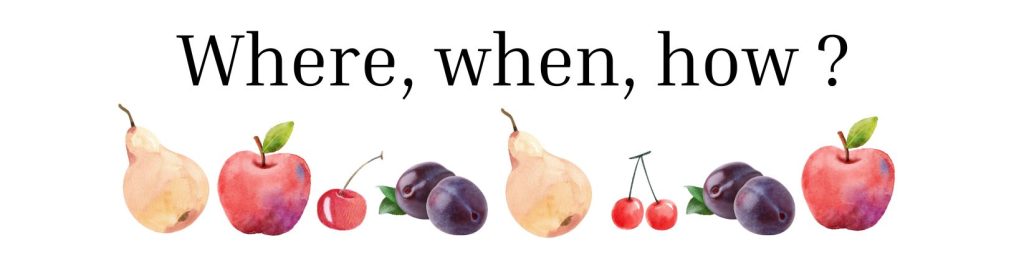 Questions: Where, when, how?