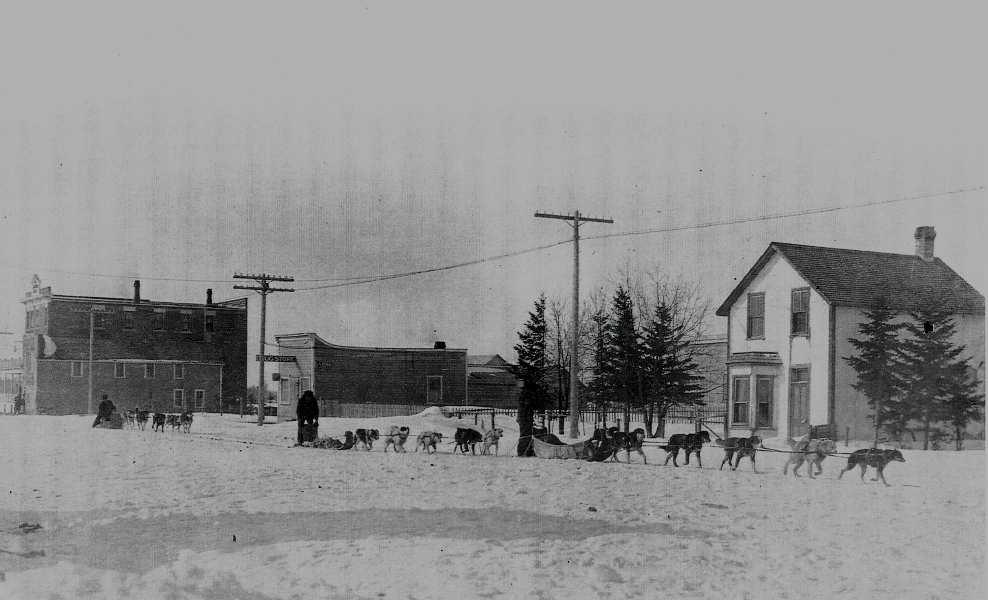 Historic black-and-white photo of Gimli, Manitoba, in 1907. A long team of sled dogs with two drivers moves along a snow-covered street lined with utility poles, buildings, and houses. A two-story home with evergreen trees stands to the right, while commercial buildings are visible in the background.